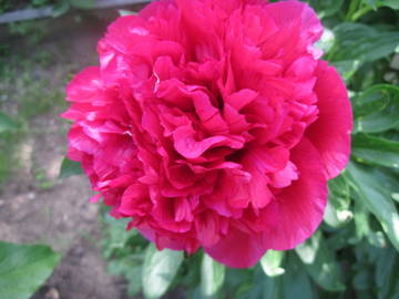 http://upforme.ru/uploads/0018/55/62/434/t77688.jpg