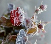 http://upforme.ru/uploads/0018/97/46/266/519290.jpg