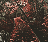 http://upforme.ru/uploads/0018/97/46/41/39502.png