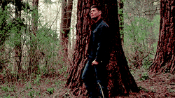 http://upforme.ru/uploads/0018/97/46/41/600453.gif