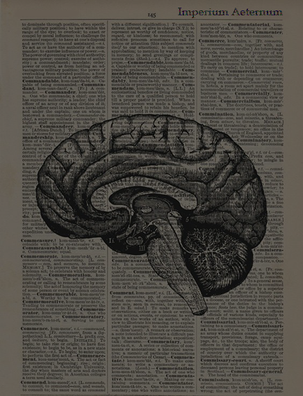 http://upforme.ru/uploads/0018/97/46/41/713027.png