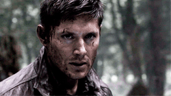 http://upforme.ru/uploads/0018/97/46/41/905498.gif