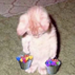 http://upforme.ru/uploads/0018/97/e9/2/253635.png