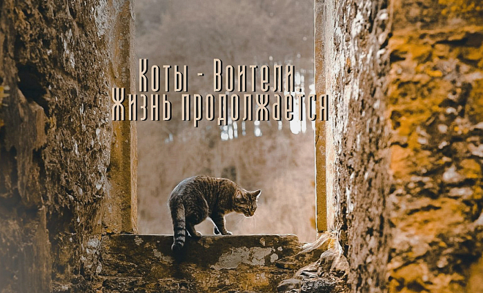 http://upforme.ru/uploads/0018/cc/e0/37/115708.jpg