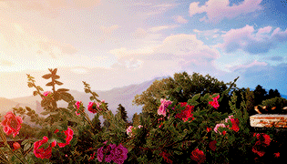 http://upforme.ru/uploads/0019/13/5d/3/t336921.gif