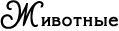 http://upforme.ru/uploads/0019/13/5d/9/t527012.png
