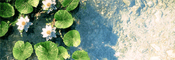 http://upforme.ru/uploads/0019/13/5d/9/t943247.gif