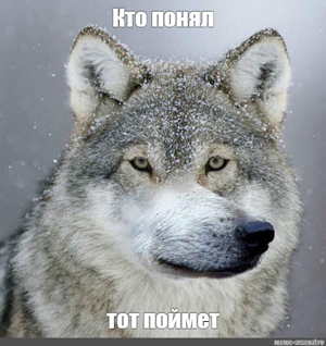 http://upforme.ru/uploads/0019/1a/e3/5/869512.jpg