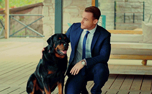 http://upforme.ru/uploads/0019/1a/e3/6/372788.gif