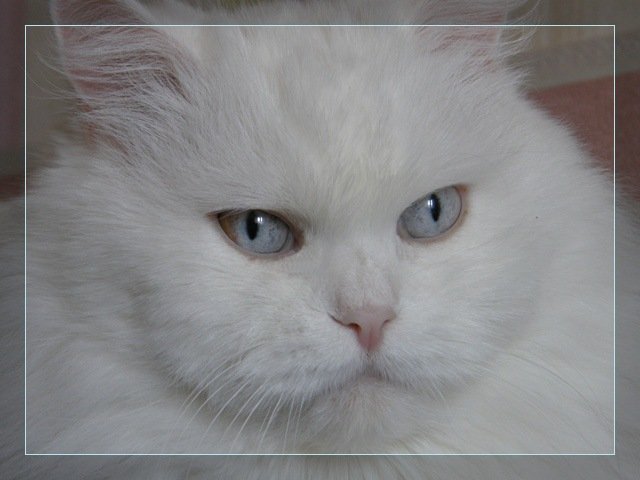 http://upforme.ru/uploads/0019/39/28/2/662505.jpg