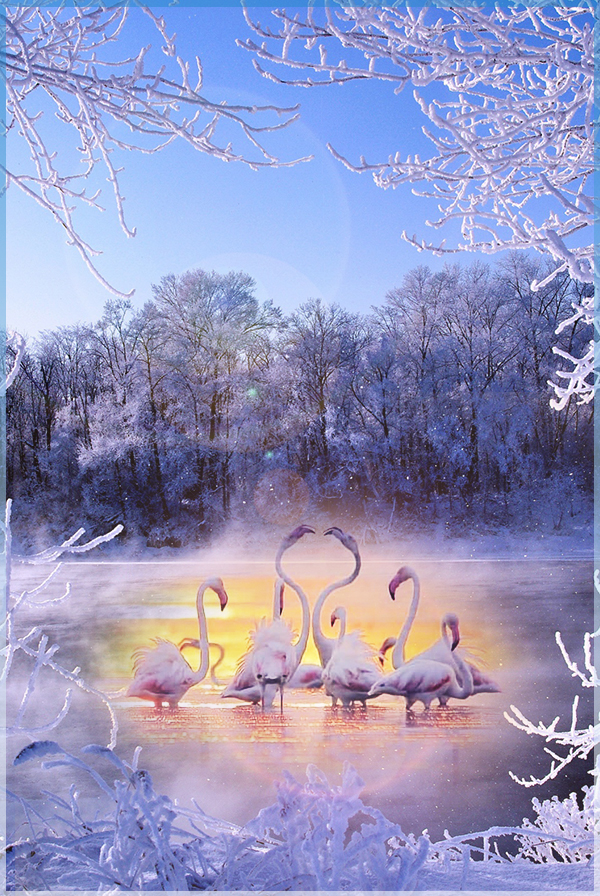http://upforme.ru/uploads/0019/3a/78/12/326792.jpg