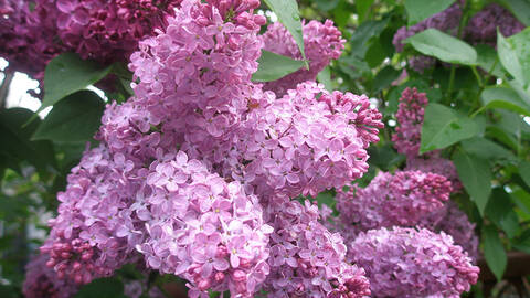 http://upforme.ru/uploads/0019/3a/78/12/t12569.jpg