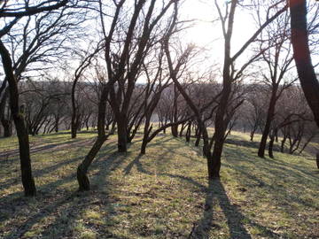http://upforme.ru/uploads/0019/3a/78/14/t26164.jpg