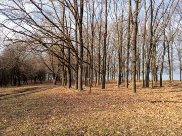 http://upforme.ru/uploads/0019/3a/78/14/t89998.jpg