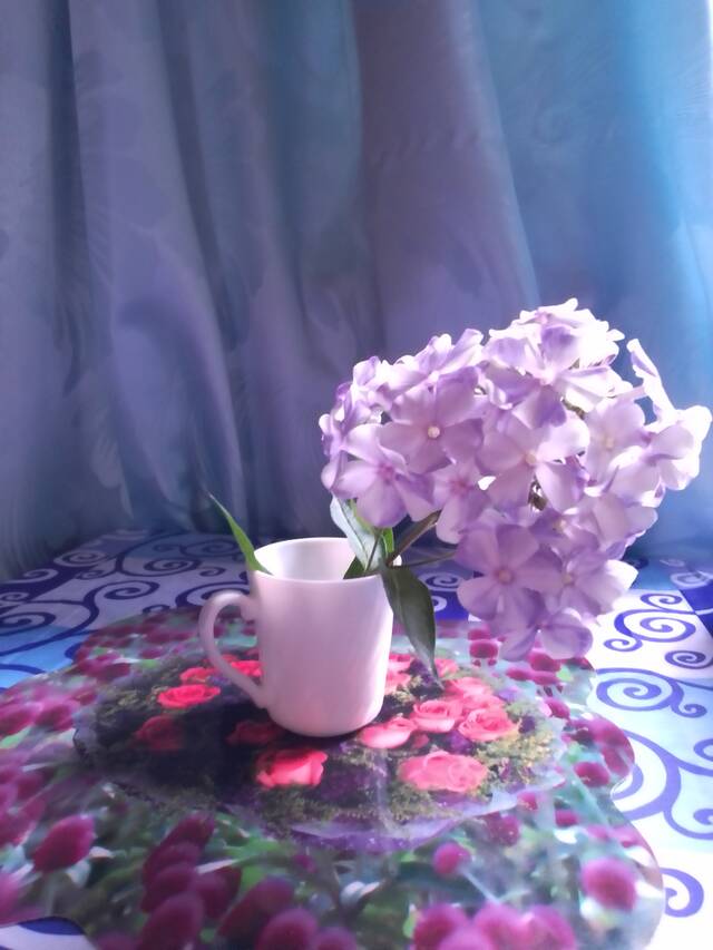 http://upforme.ru/uploads/0019/3a/78/16/437013.jpg