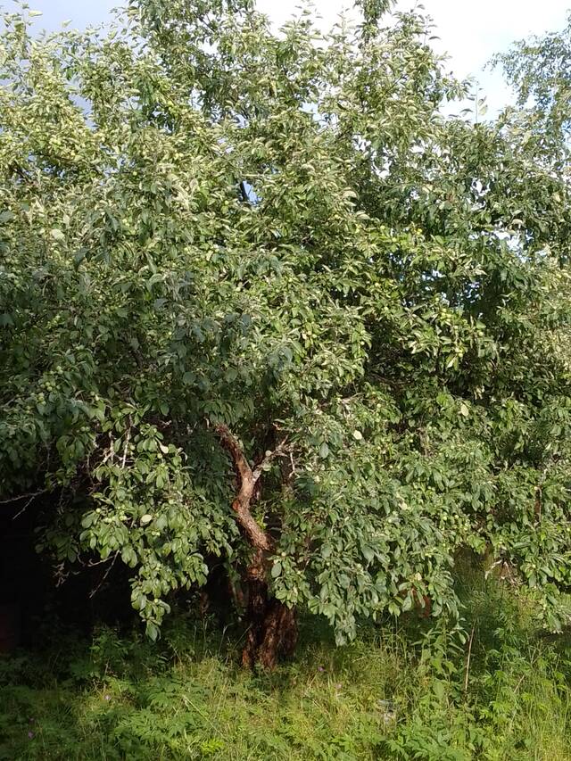 http://upforme.ru/uploads/0019/3a/78/16/610509.jpg