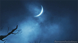 http://upforme.ru/uploads/0019/3f/c4/7/t112007.gif