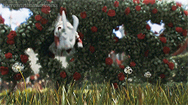 http://upforme.ru/uploads/0019/3f/c4/7/t652592.gif