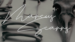 http://upforme.ru/uploads/0019/71/36/129/13935.png