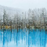 http://upforme.ru/uploads/0019/7d/d5/415/t173663.jpg
