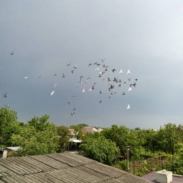 http://upforme.ru/uploads/0019/8b/76/10/t602712.jpg