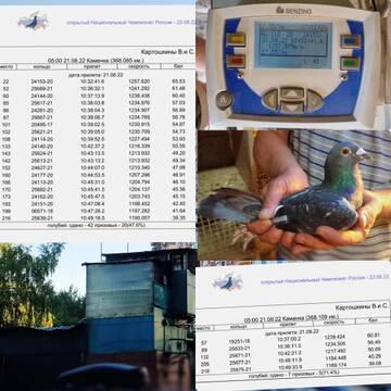 http://upforme.ru/uploads/0019/8b/76/107/t136455.jpg