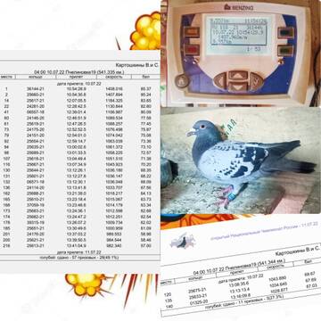 http://upforme.ru/uploads/0019/8b/76/107/t230709.jpg