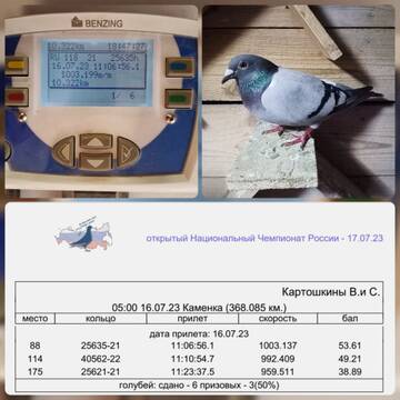 http://upforme.ru/uploads/0019/8b/76/107/t299347.jpg