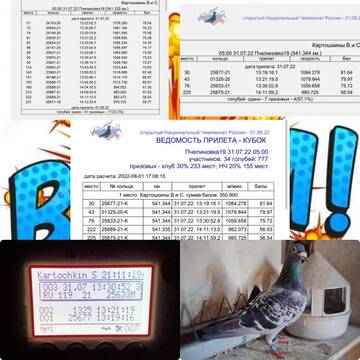 http://upforme.ru/uploads/0019/8b/76/107/t446289.jpg