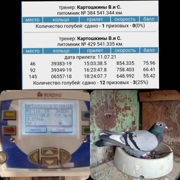 http://upforme.ru/uploads/0019/8b/76/107/t544639.jpg