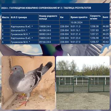 http://upforme.ru/uploads/0019/8b/76/107/t589465.jpg