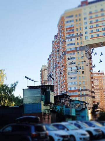 http://upforme.ru/uploads/0019/8b/76/107/t617245.jpg