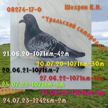 http://upforme.ru/uploads/0019/8b/76/107/t766537.jpg