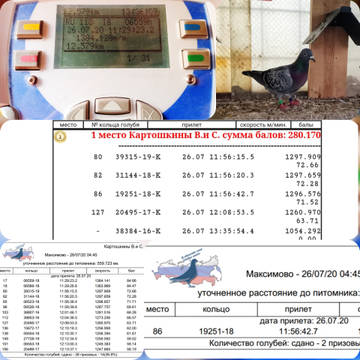http://upforme.ru/uploads/0019/8b/76/107/t800819.jpg