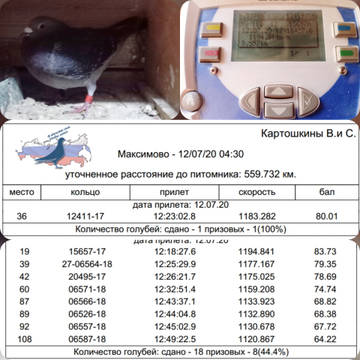 http://upforme.ru/uploads/0019/8b/76/107/t828461.jpg
