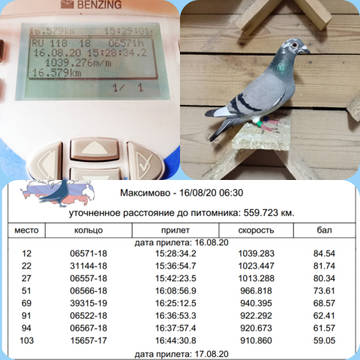 http://upforme.ru/uploads/0019/8b/76/107/t948789.jpg