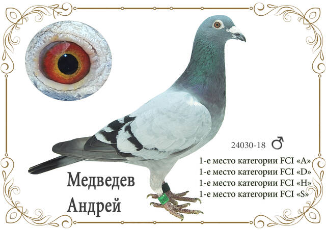 http://upforme.ru/uploads/0019/8b/76/2/24030.jpg