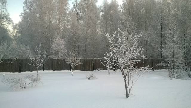 http://upforme.ru/uploads/0019/8b/76/2/30778.jpg
