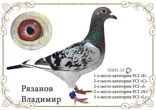 http://upforme.ru/uploads/0019/8b/76/2/535144.jpg
