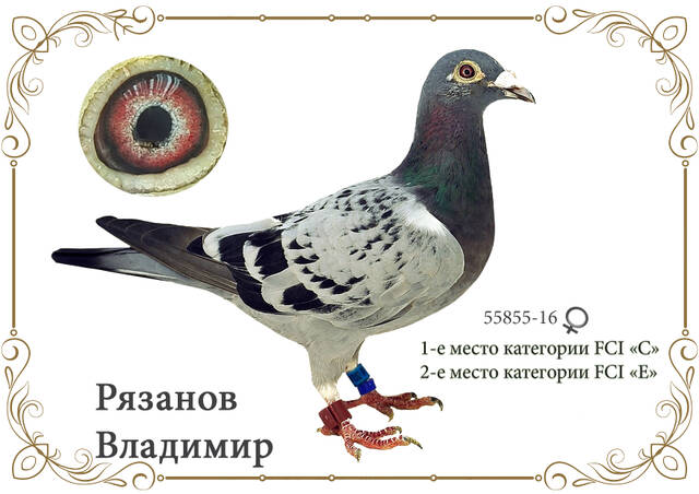 http://upforme.ru/uploads/0019/8b/76/2/55855.jpg