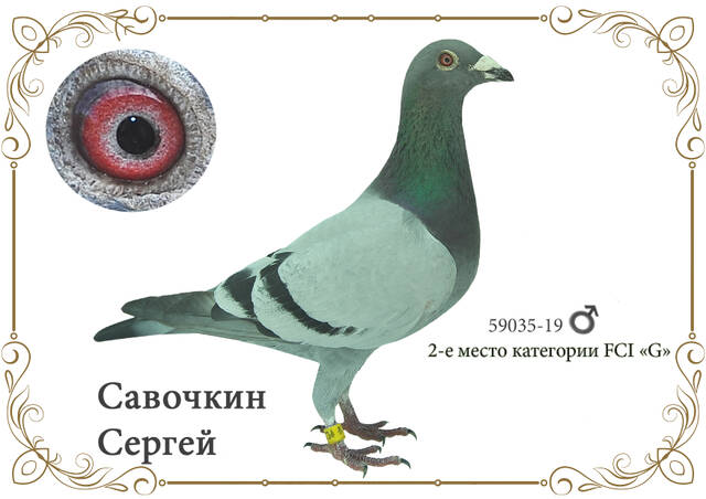 http://upforme.ru/uploads/0019/8b/76/2/59035.jpg
