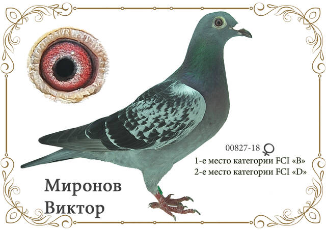 http://upforme.ru/uploads/0019/8b/76/2/781568.jpg