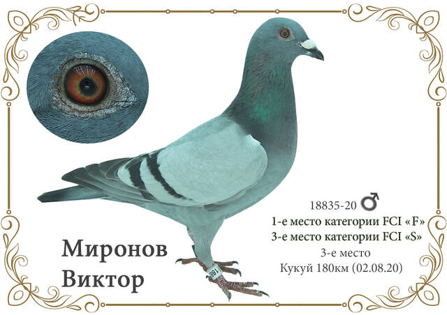 http://upforme.ru/uploads/0019/8b/76/2/850210.jpg