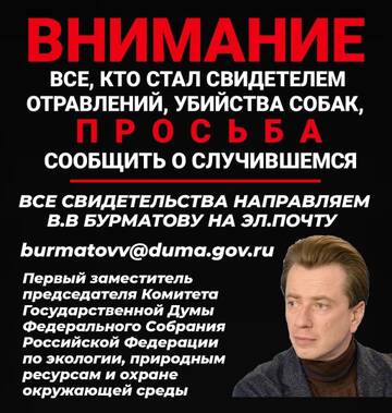 http://upforme.ru/uploads/0019/94/40/2/t299882.jpg