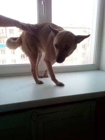 http://upforme.ru/uploads/0019/95/7e/18/t99901.jpg