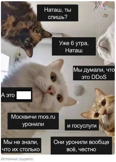 http://upforme.ru/uploads/0019/a5/88/2/167254.jpg