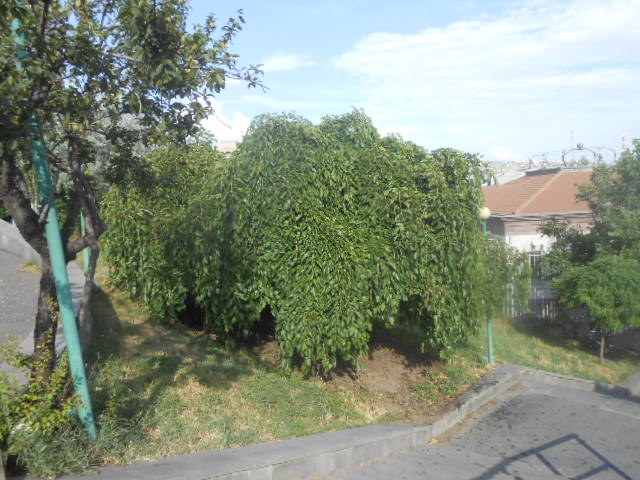 http://upforme.ru/uploads/0019/a5/88/2/303821.jpg