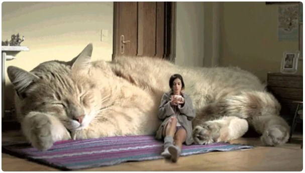 http://upforme.ru/uploads/0019/a5/88/2/50428.jpg