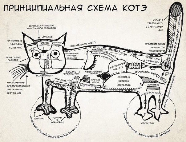 http://upforme.ru/uploads/0019/a5/88/2/63121.jpg