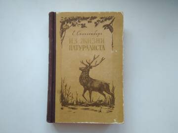 http://upforme.ru/uploads/0019/a7/f1/15/t221965.jpg